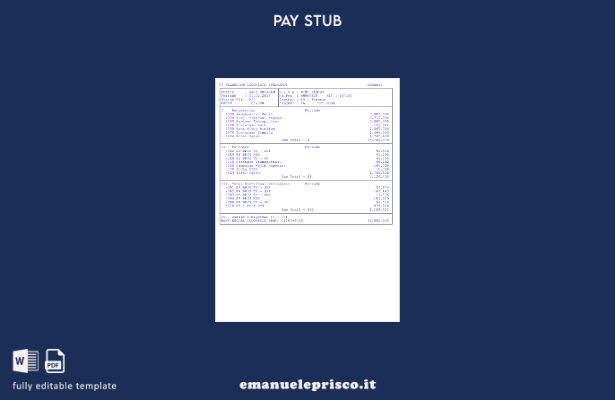 modello di buste paga stile verificato Pt pelabuhan indonesia (persero).